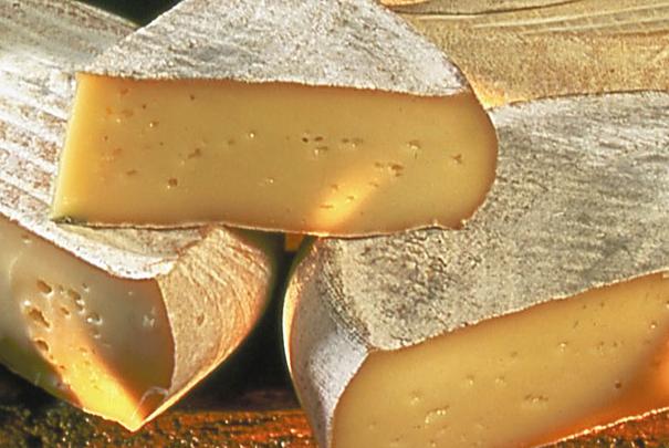 Сыр Сен-Нектер